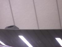 0000091221-3
