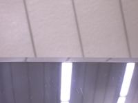 0000088168-5