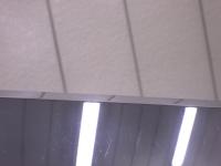 0000088168-6