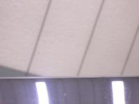 0000088311-8