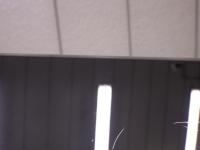 0000088336-6