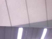 0000090511-5
