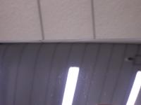 0000048815-3