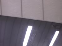 0000081449-6
