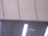0000081449-7