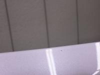 0000092164-19