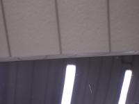0000042339-6
