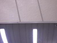 0000083806-5