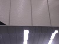 0000081516-16