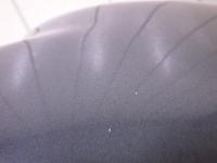 0000081790-7