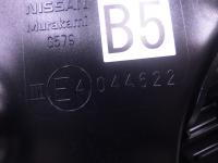 0000086818-1