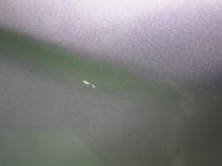 0000086950-26