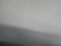 0000091682-10