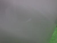 0000087148-5