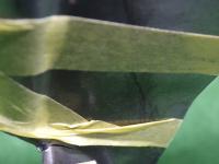 0000089618-13