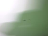 0000080538-2