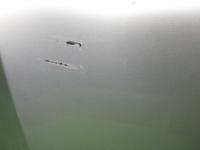 0000088791-11