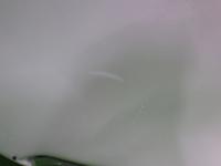 0000087661-17