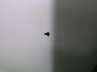 0000076605-5
