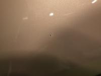 0000086083-8