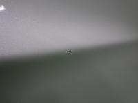 0000089033-6