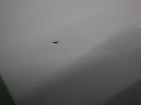 0000083857-27