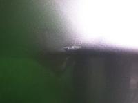 0000082541-15