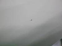 0000092487-16