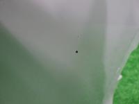 0000092487-4