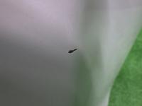 0000090801-2