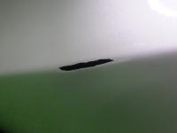 0000090488-20