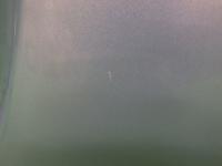0000087033-5