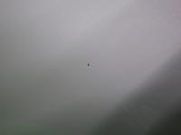 0000091064-16