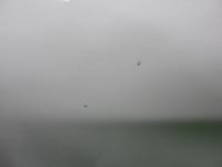 0000091718-9
