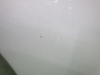 0000085113-10