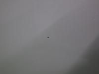 0000085113-23