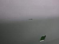 0000088268-39