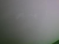 0000088196-20