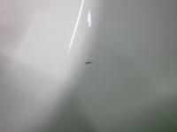 0000086451-8