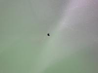 0000090585-21