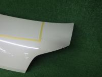 57619 タント LA600S_LA610S 前期 ボンネットフード ( 0500000072990 )