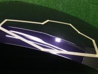 JN23927 エスティマ アエラス 50系 後期最終型 ボンネット ACR50_ACR55_エスティマハイブリッドアエラス AHR20 ( 0500000088230 )