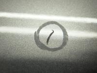 0000084995-9