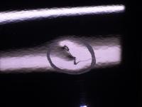 0000090702-8