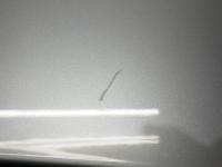 0000072391-13