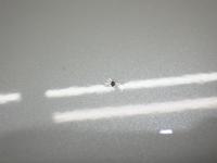 0000087657-6