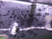 0000088966-5