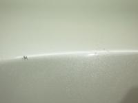 0000088893-17