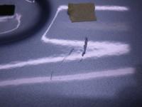 0000083006-8