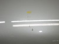0000092477-8